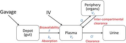 Radiation Increases Bioavailability of Lisinopril, a Mitigator of Radiation-Induced Toxicities